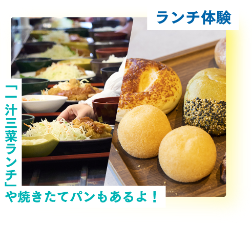 ランチ体験　「一汁三菜ランチ」や焼きたてパンもあるよ！