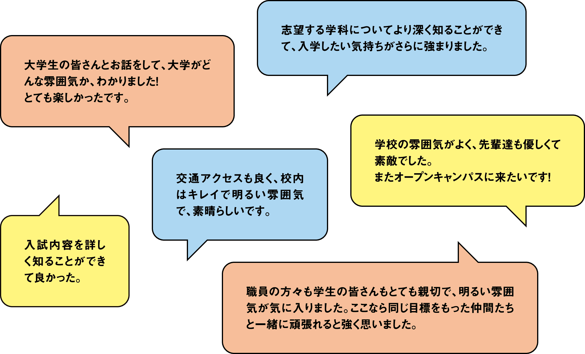 参加者の声