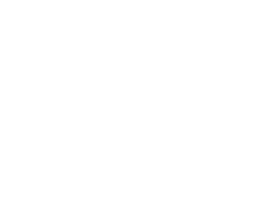 PageTop